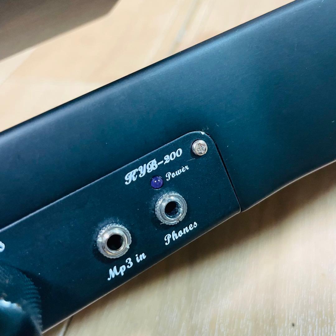 Hallstatt RYB-200 アップライトベース ハルシュタット