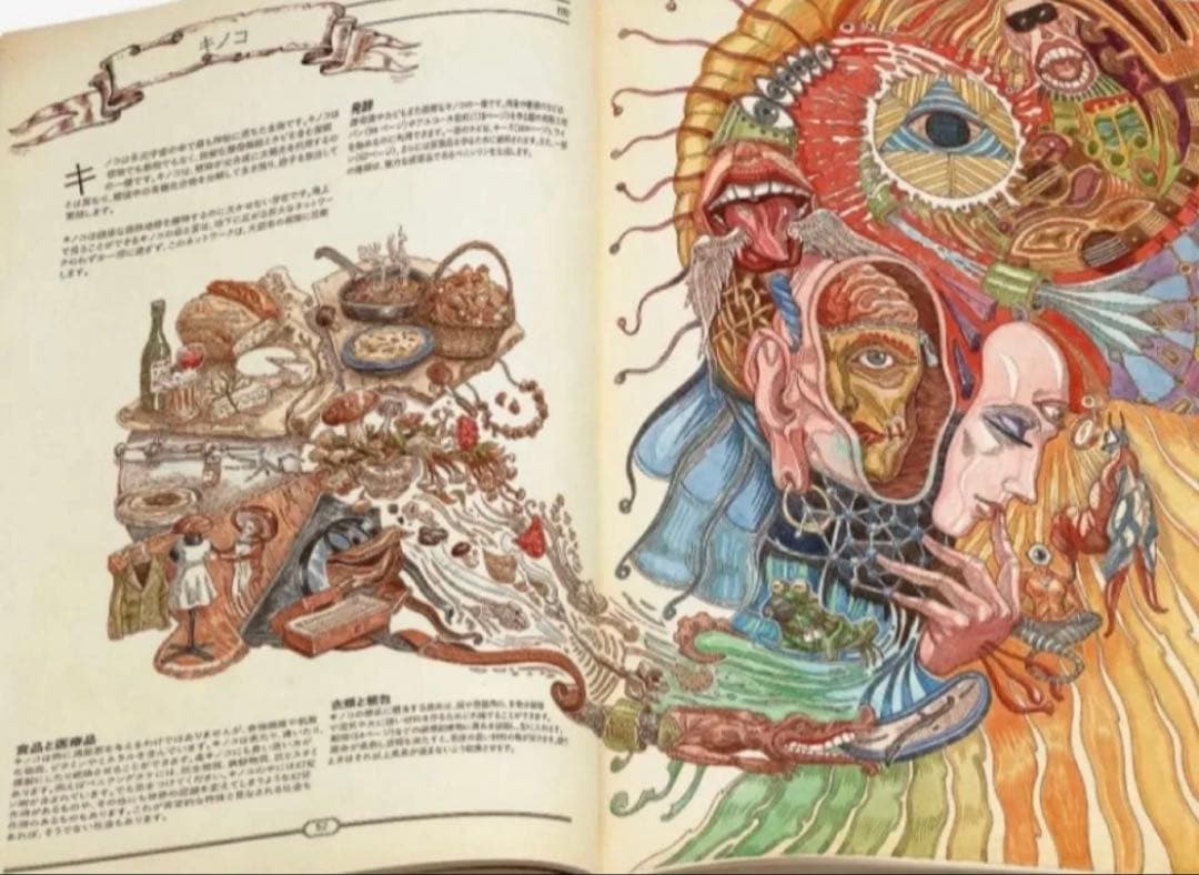 THEBOOK 究極の文明再構築ガイド　日本語版　新品　未使用