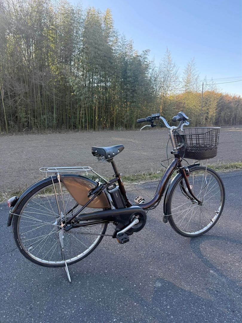 Assista 電動アシスト自転車 シティタイプ