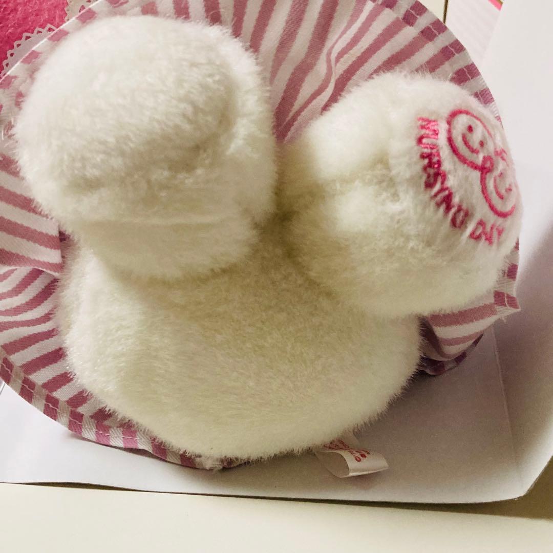 レア美品✳️ハローキティ『ナースキティ ぬいぐるみ 2011年ver.』看護の日