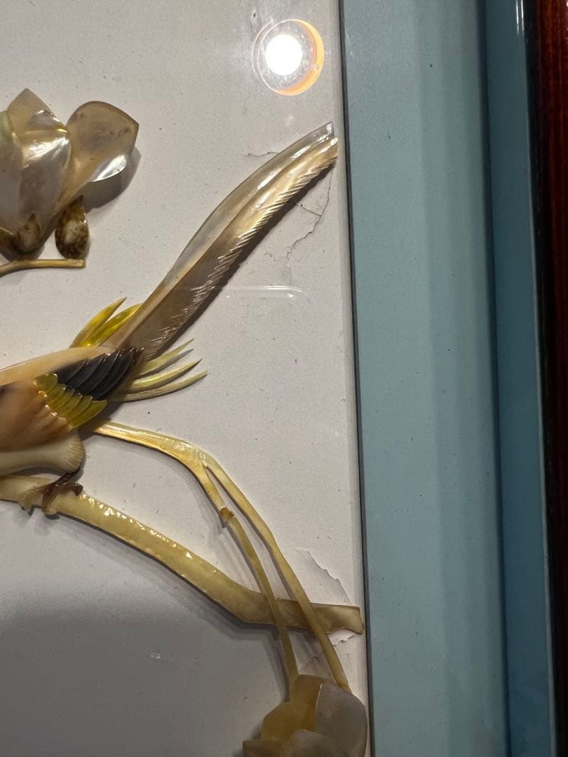 貝細工　中国　かなり昔