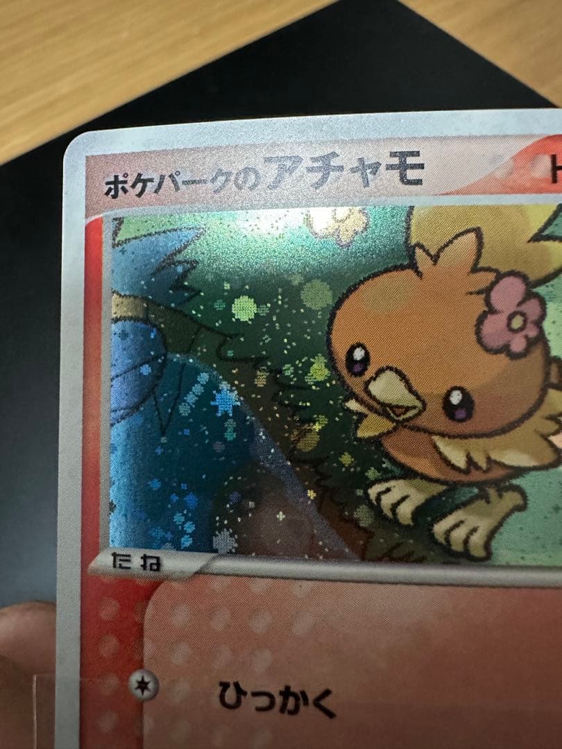 ポケパークのアチャモ　プレミアムファイル