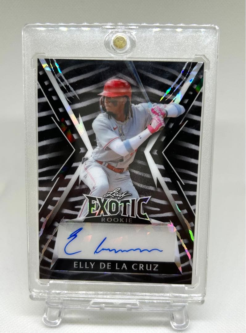 【４枚限定】ELLY DE LA CRUZ AUTO エリーデラクルーズ