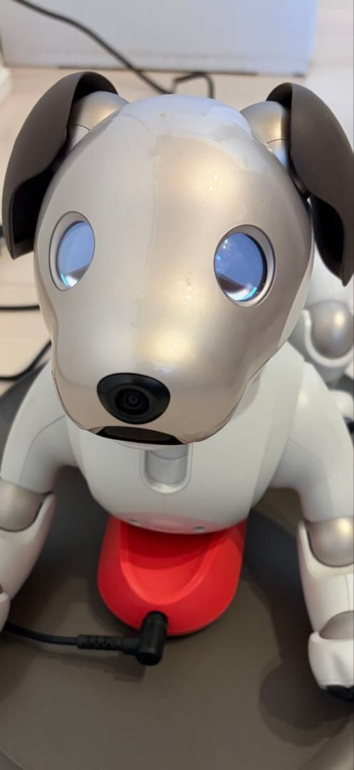 aibo ロボット犬 付属品多数おもちゃ&ぬいぐるみ &首輪バッジ等！専用箱付き