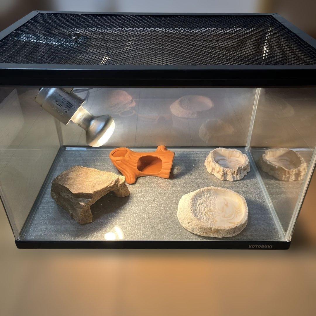 爬虫類 トカゲ カナヘビ 飼育セット　紫外線ライト 保温ライト