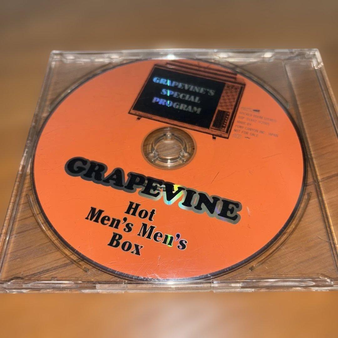 GRAPEVINE CD・DVD 19点セット 非売品プロモCD2枚含む