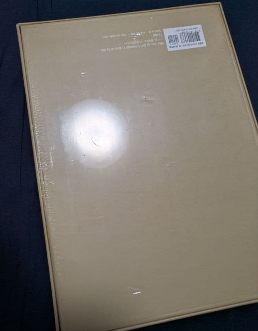 ある日、お姫様になってしまった件について イラストブック セット