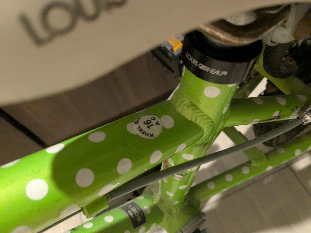 ルイガノ キッズバイク LGS J16 16インチ グリーン