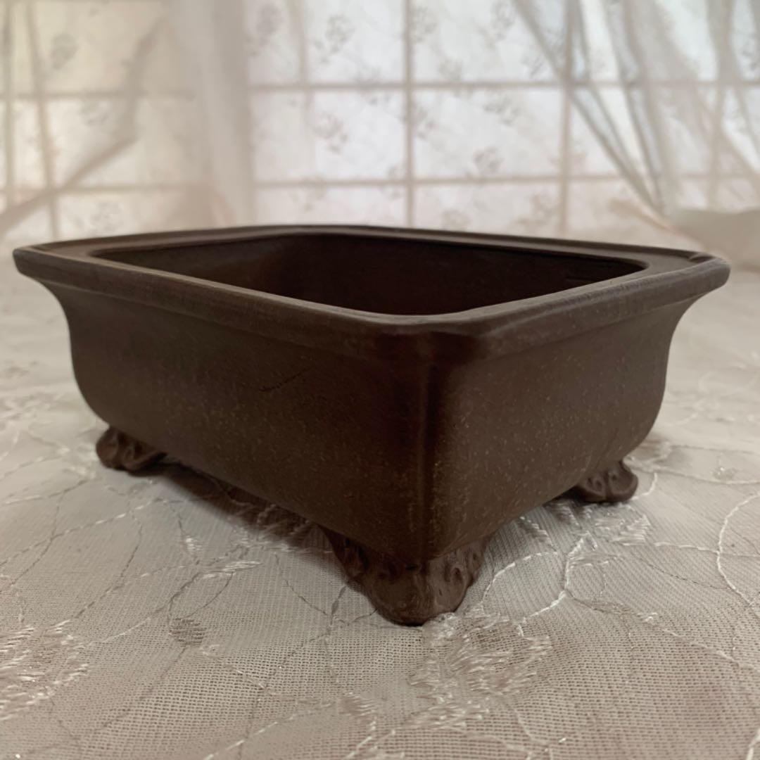 銭号　盆栽鉢　長方