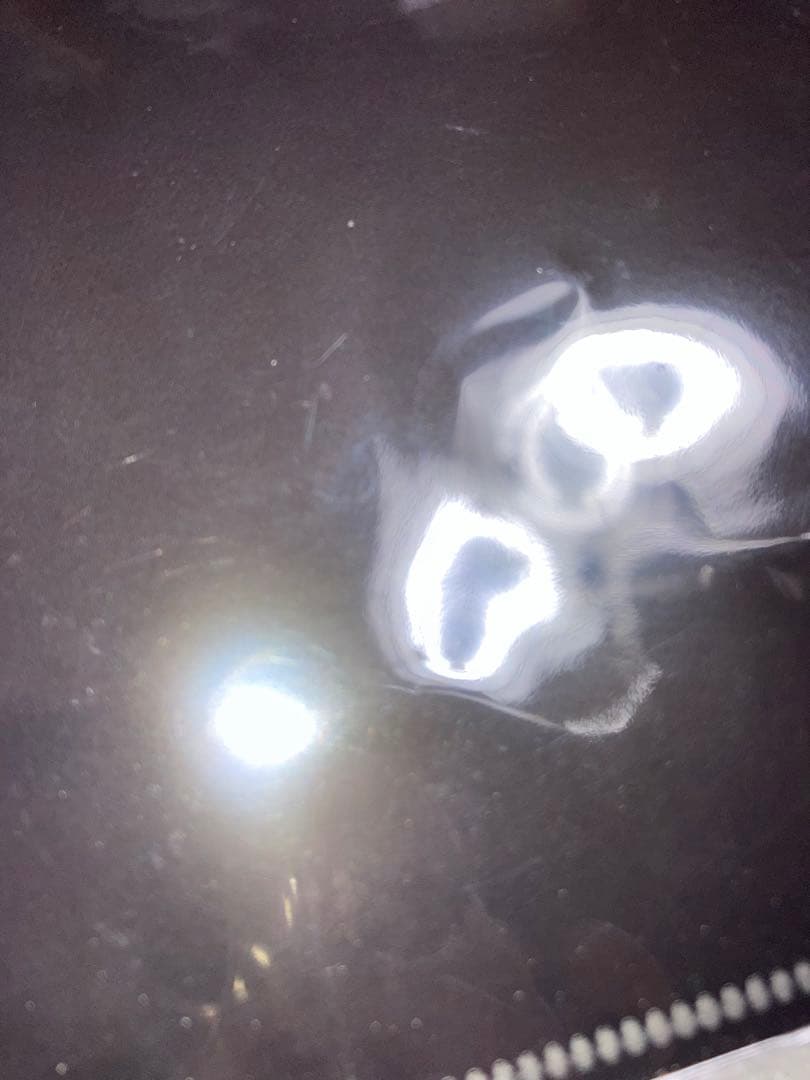 moon ムーン／チェンジングキーホルダー・アクリルキーホルダー・クリアファイル