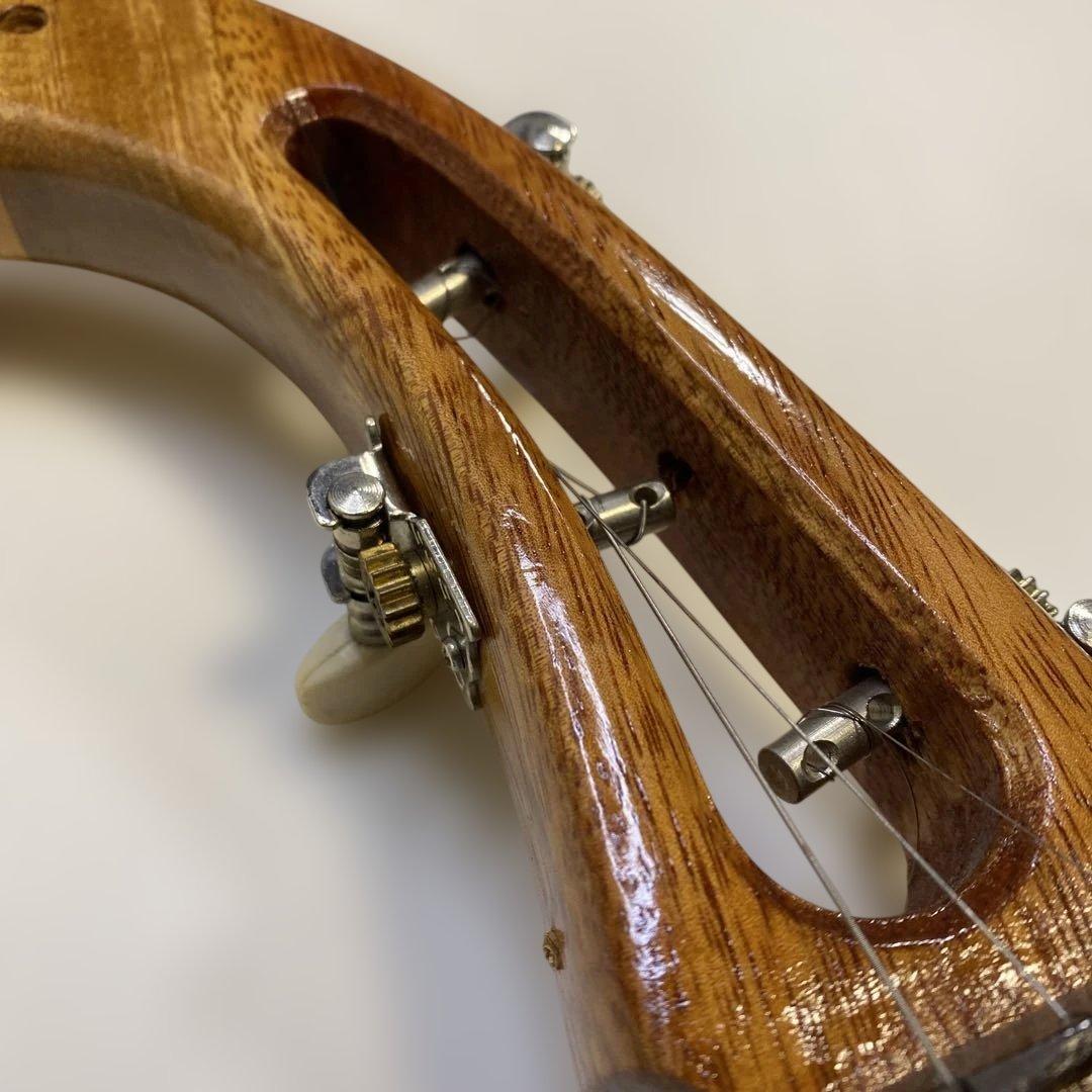 タイ 伝統楽器 エレクトリック ピン 三弦 バンコク 民俗楽器 Thai 未使用