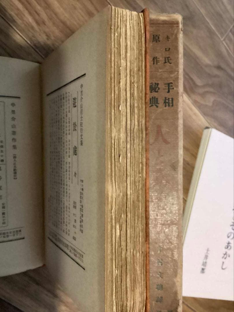 人と人の手 : 手相秘典　キロ 著 中村文聡 訳編