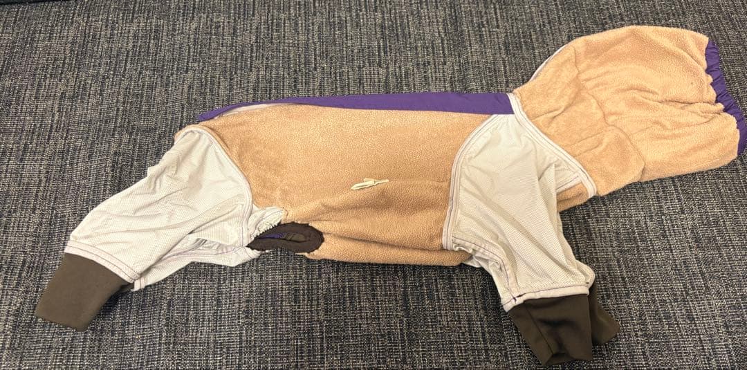 アルファアイコン⭐︎スノードックガード