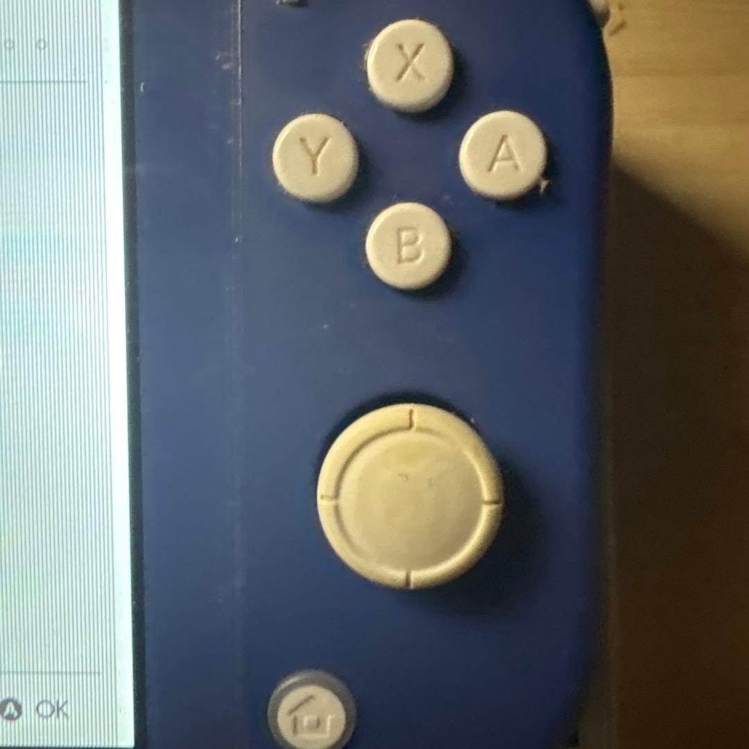 Nintendo Switch Lite 青 本体ジャンク