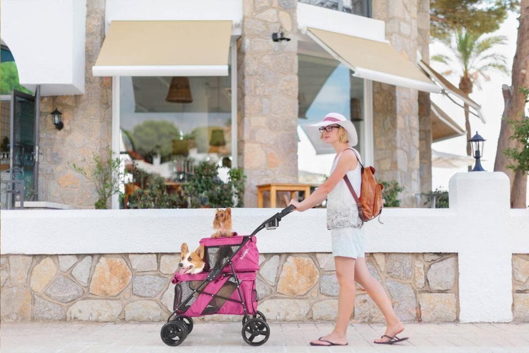 Ibiyaya　ペット用カート　ストローラー　FS1770-G　【平行輸入品】