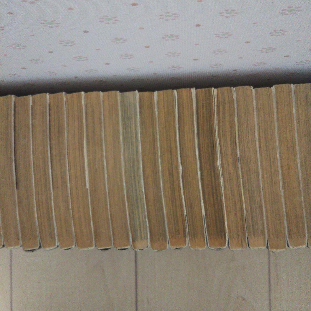 カメレオン 全巻セット 加瀬あつし