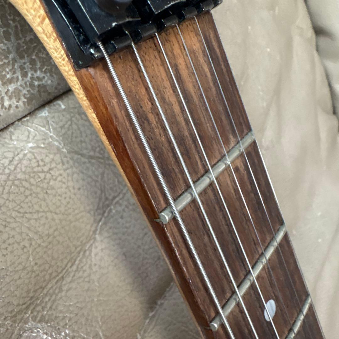 アイバニーズ　フジゲン製