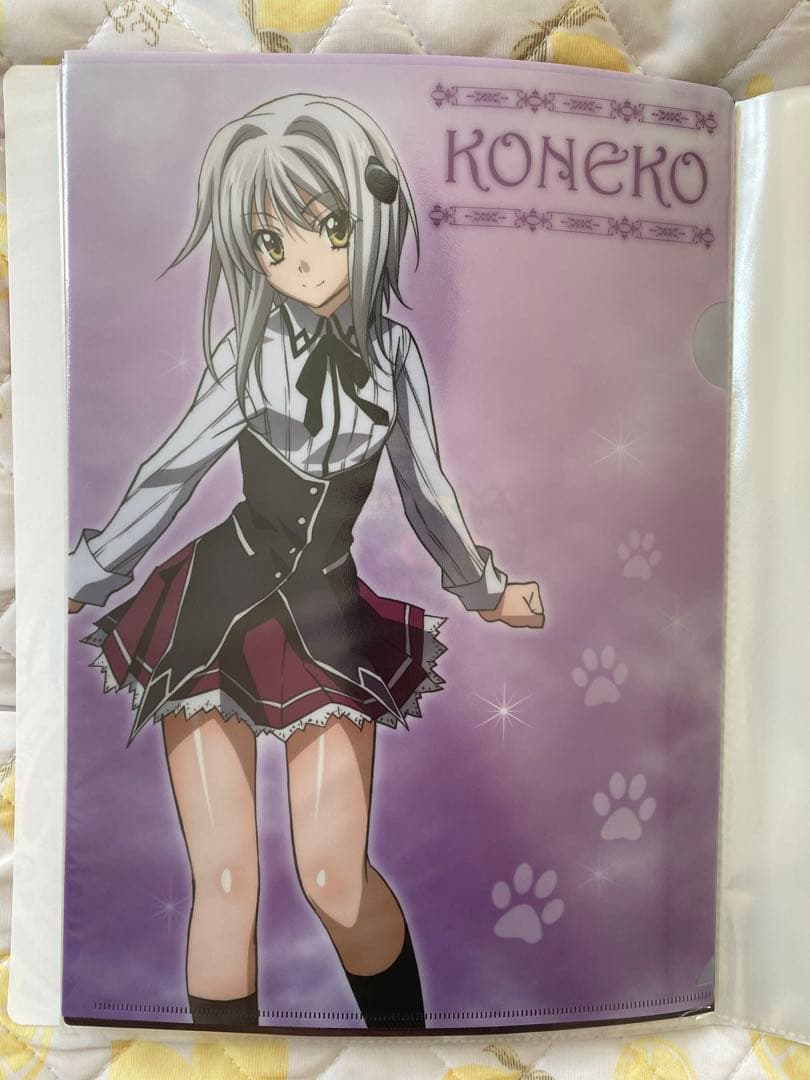 ハイスクール　クリアファイル　グッズ　ハイスクールdd ハイスクールd×d