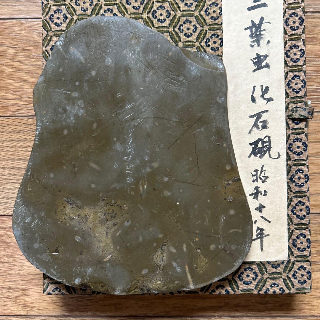 貴重骨董【三葉虫化石硯】化石約２億５１００万年最高級書道具希少珍品新品未使用です