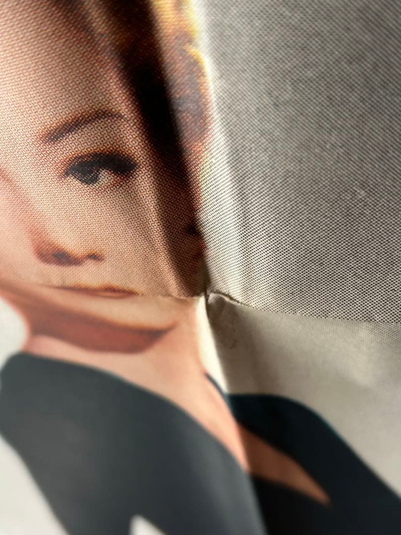 ザ・カム・オン　USオリジナル映画ポスター