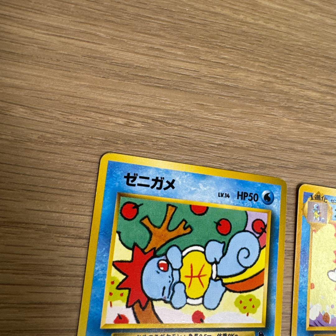 ゼニガメ、カメール イントロパック【5436