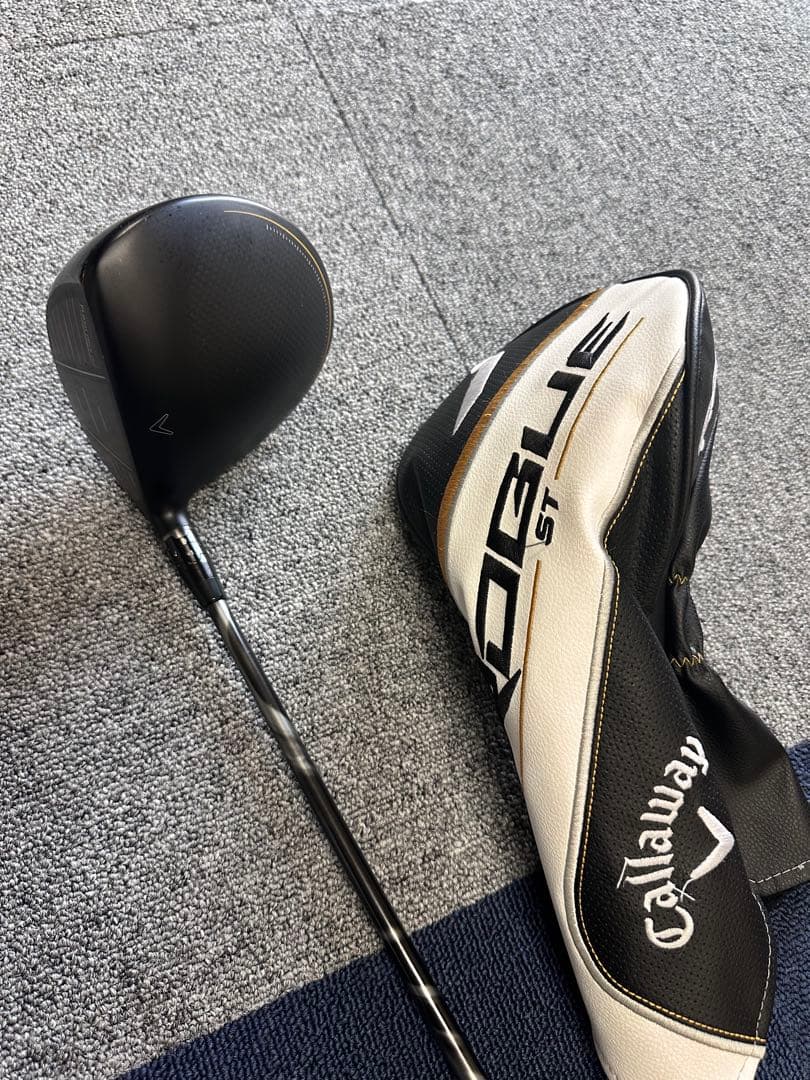 Rogue ST MAX Dドライバー／スピーダーエボリューションⅣ S