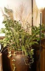 【手渡し限定】骨董品　信楽焼　壷　花入れ　睡蓮鉢　店舗用品　ディスプレイ