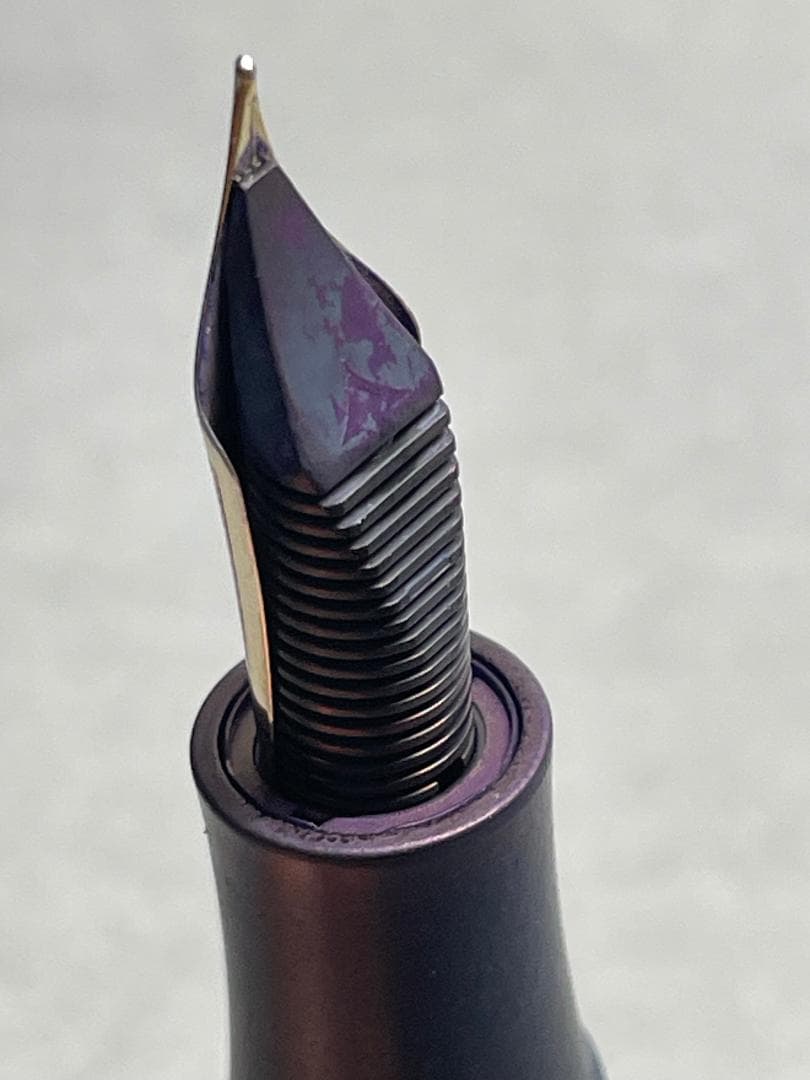 VISCONTI ホモサピエンス　オーバーサイズ　ブロンズ　万年筆