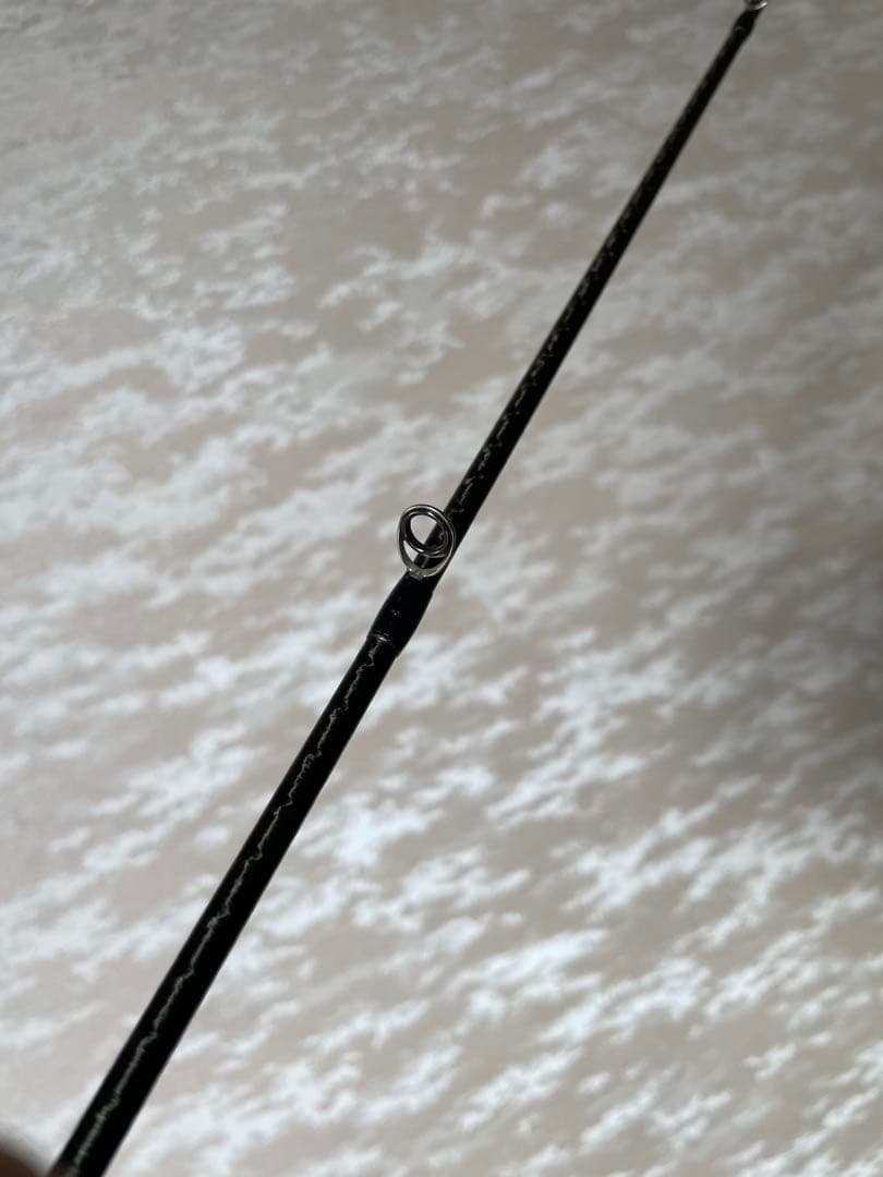 21ポイズングロリアス　2610ul/m 送料込み