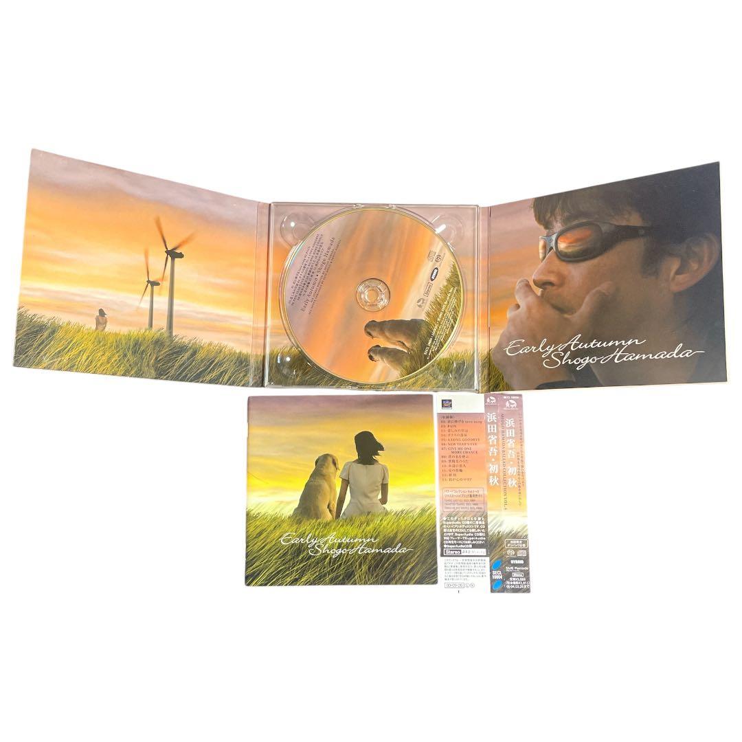 【定価6万相当】浜田省吾 CD・DVD 12点セット／ストラップ付き