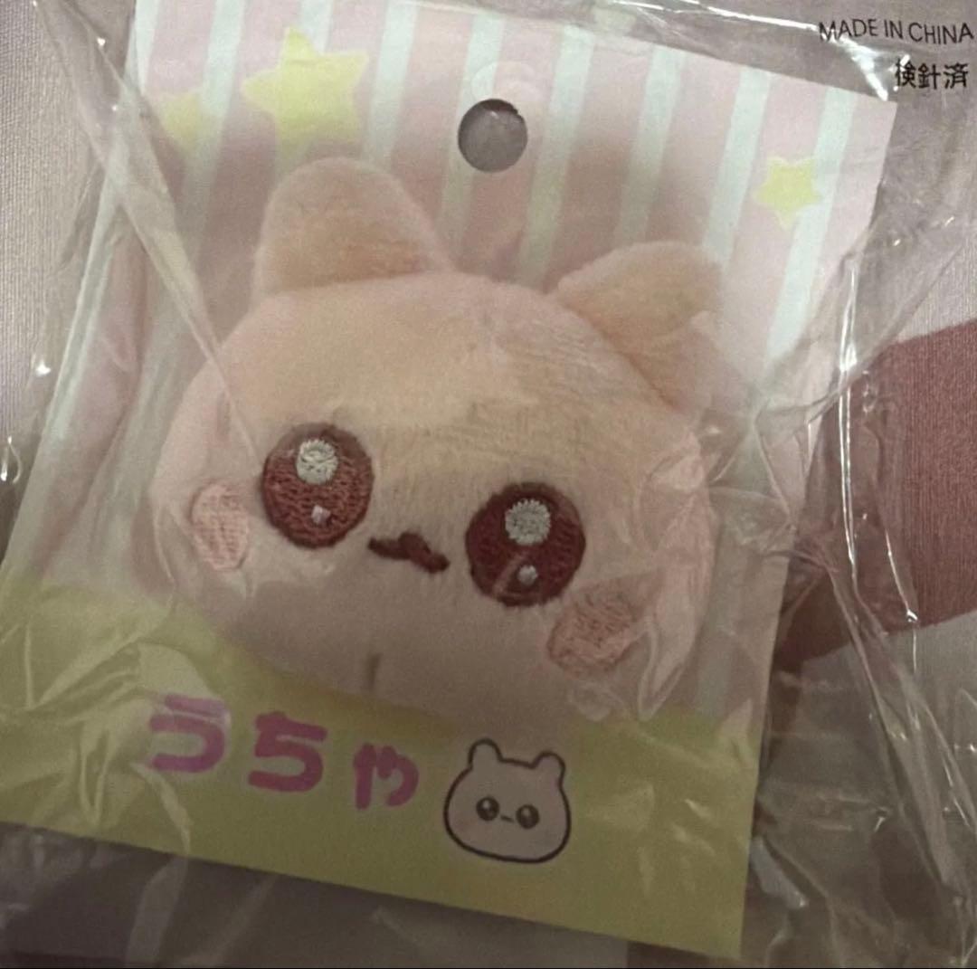 うちゃ。 まとめ売り