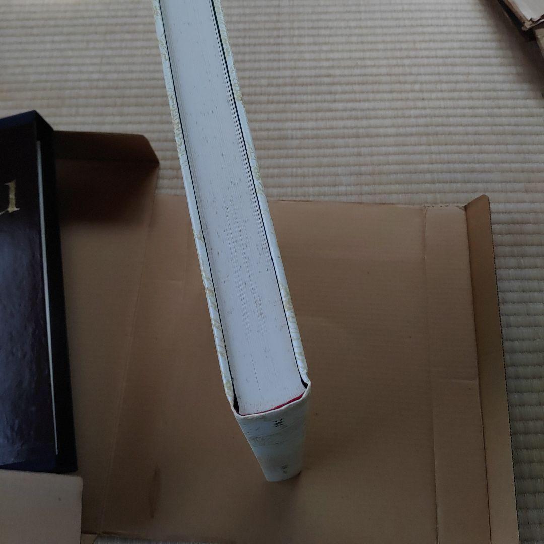 童夢　限定版　大友克洋