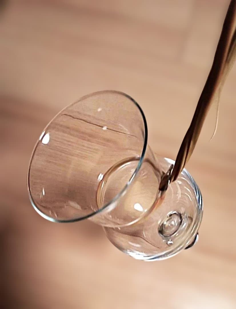 珍品ホルムガード(デンマーク工房)ネックワイングラス～革ストラップバイキング由来