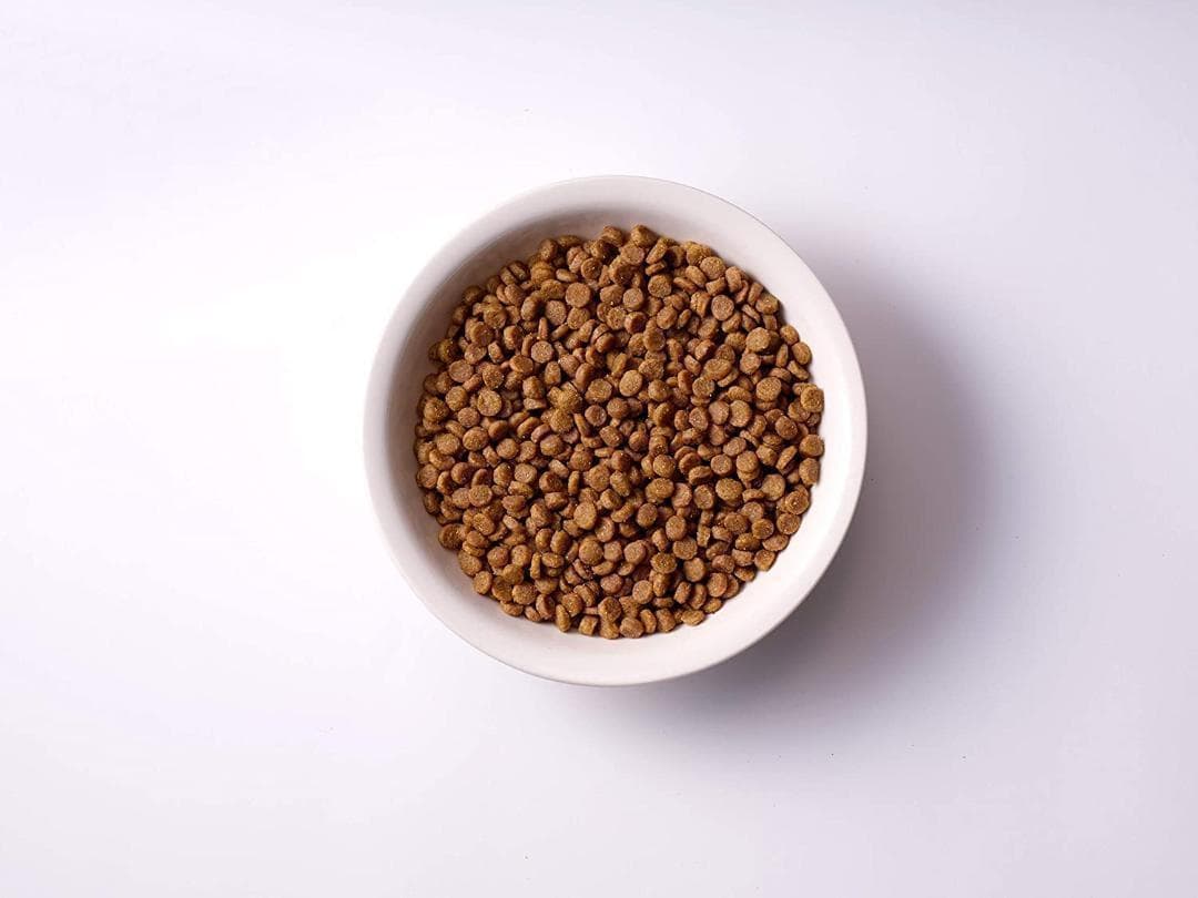 ソルビダ　グレインフリーチキン　室内飼育体重管理用3.6kg【1個のおまけ付き】