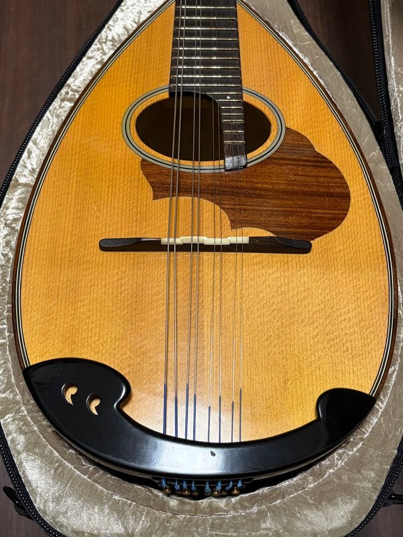 ✴︎美品✴︎お得✴︎ スズキ製マンドリン M-30 & 美品スーパーライトケース付き