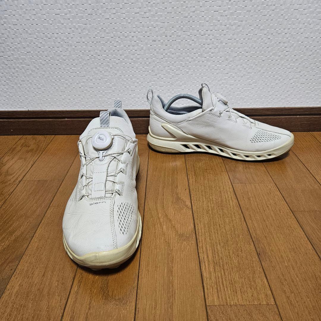 ecco BIOM COOL PRO BOA ゴルフシューズ GORE-TEX