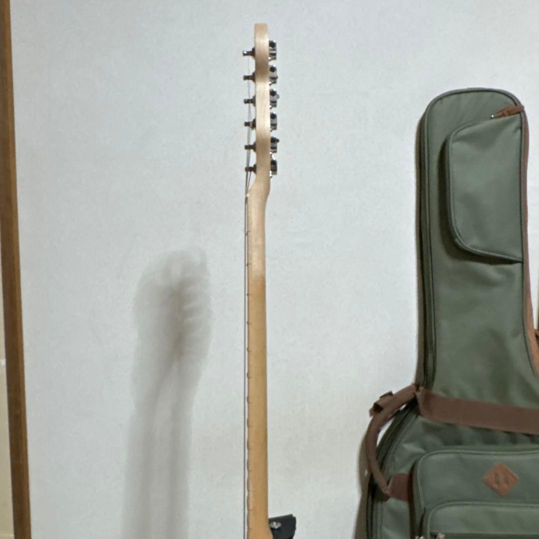 SELDER セルダー　テレキャス　エレキギター　ギター　楽器　ソフトケース