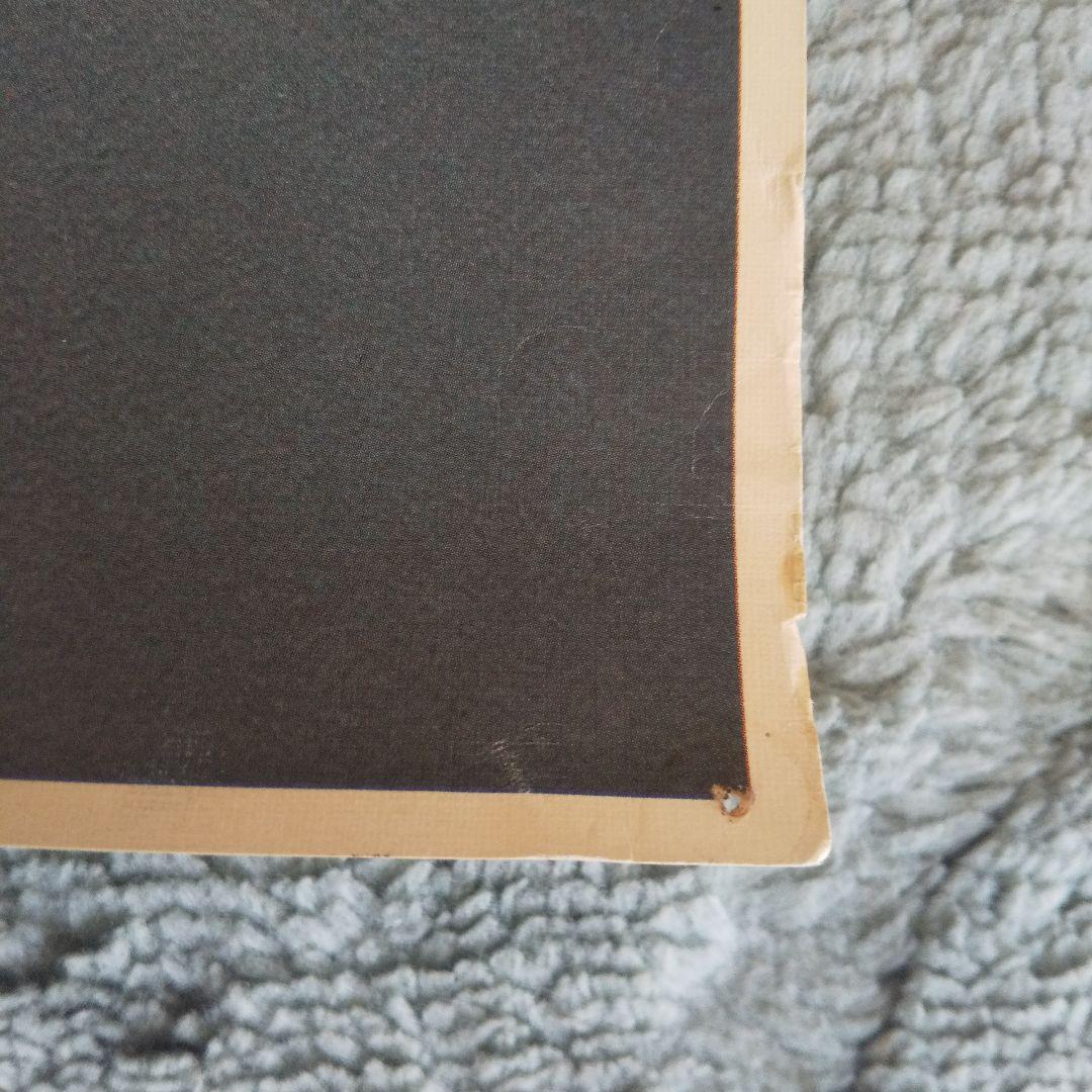 〖希少〗オリヴィア・ ハッセー 印刷画