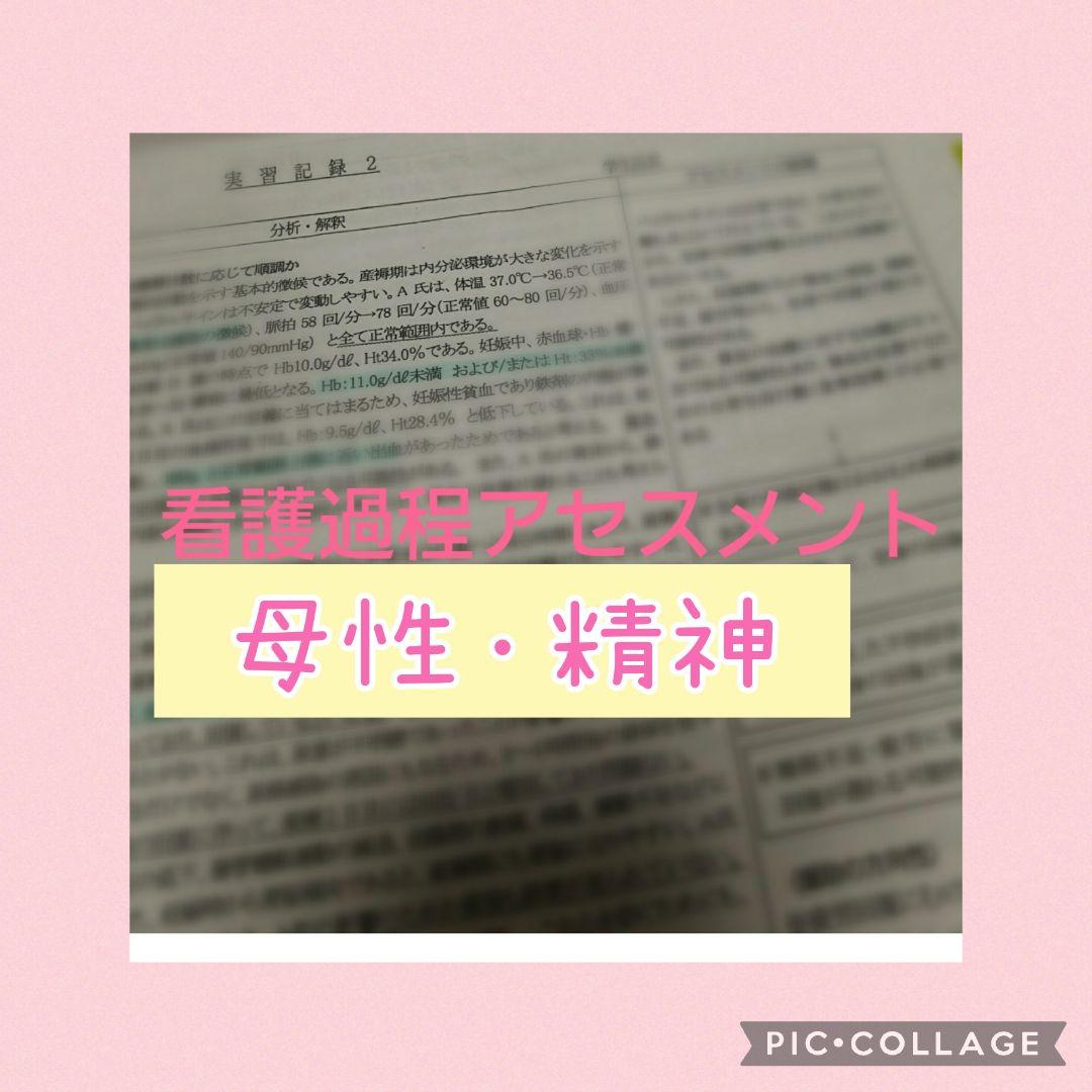 看護実習セット★　看護過程　アセスメント　看護目標　　手順書　看護学生　国家試験