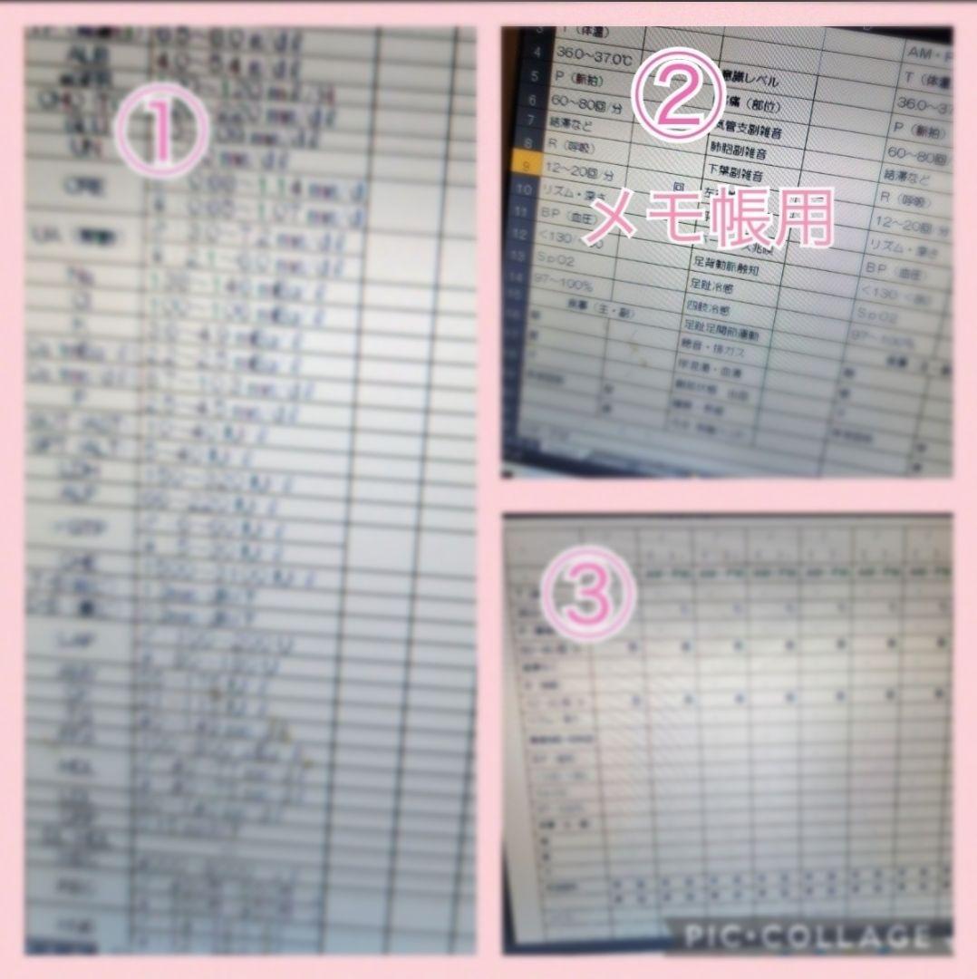 看護実習セット★　看護過程　アセスメント　看護目標　　手順書　看護学生　国家試験