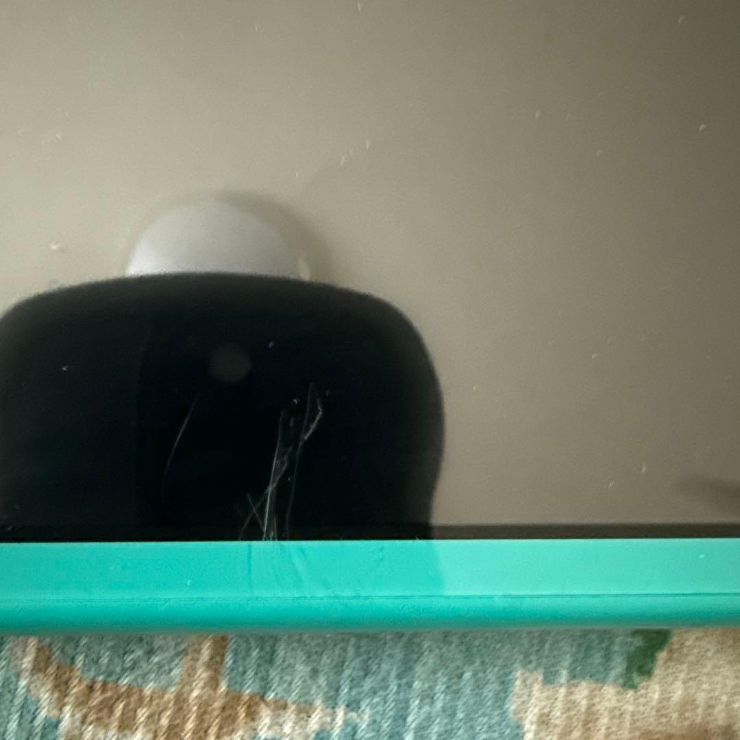 ニンテンドースイッチライト