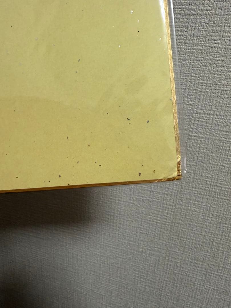 パンドラハーツ　PandoraHearts 色紙　アニメイト　グッズ　特典