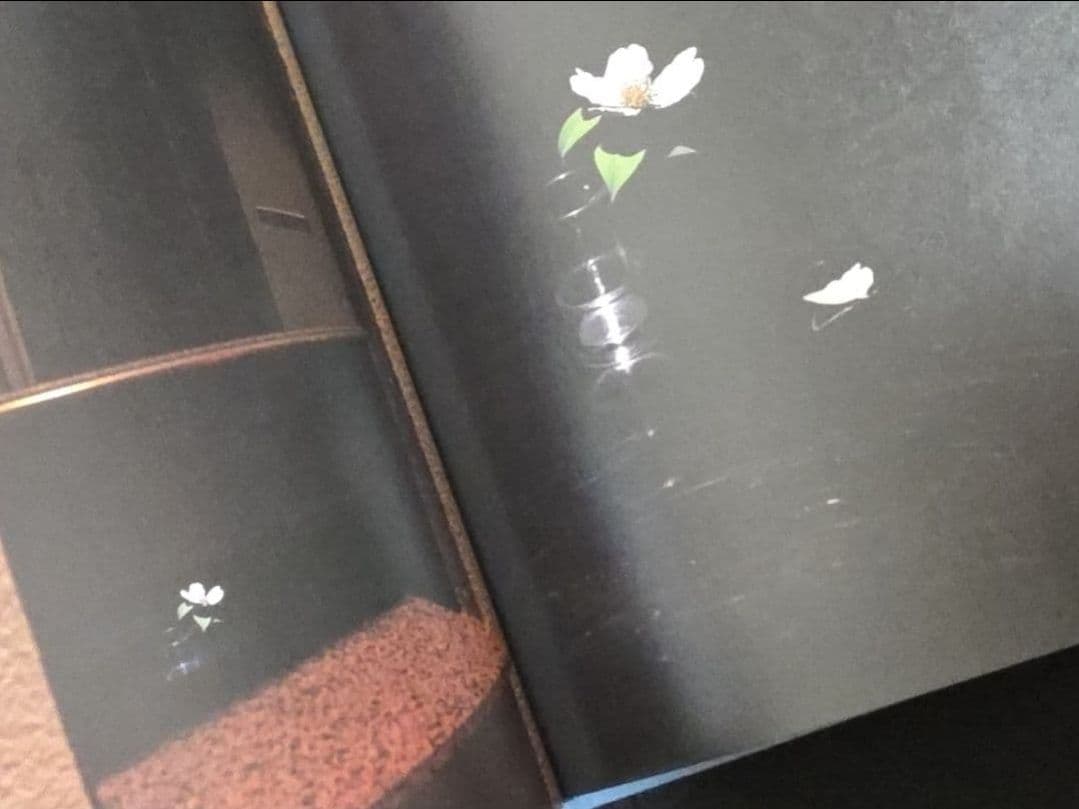 須田悦弘図録　渋谷区立松濤美術館　杉本博司川瀬敏郎　彫刻木彫　現代アート現代美術