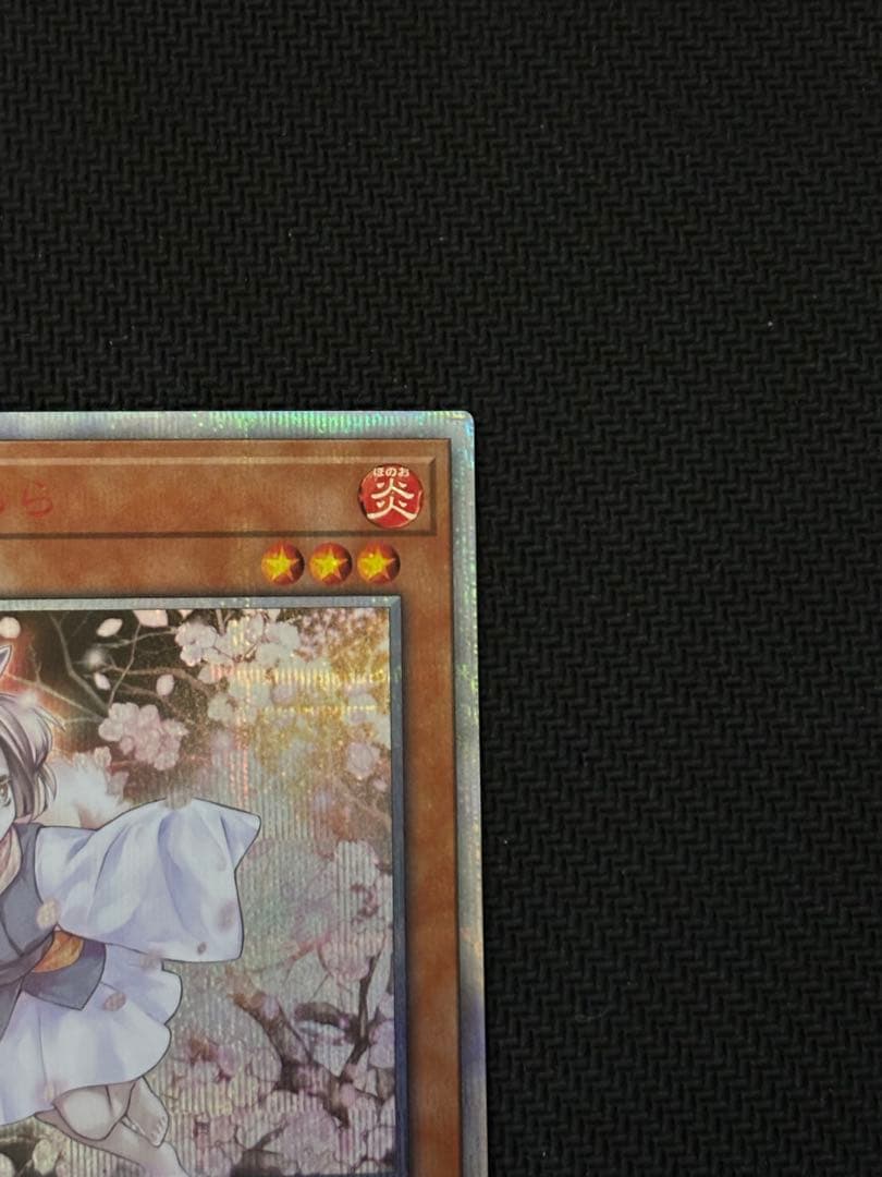 遊戯王OCG 灰流うらら　20th