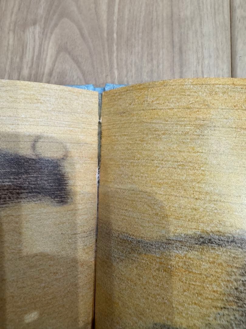 【希少】【絶版】吉田遠志　動物絵本シリーズ《アフリカ》12冊セット