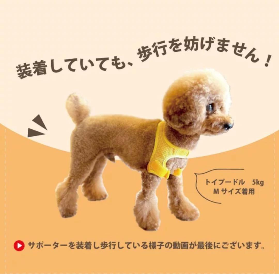 肩関節サポーター ホールドショルダー Mサイズ イエロー