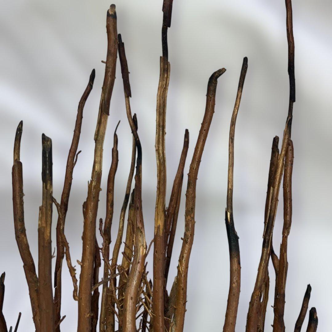 (467)アンティークな木製の鶴と亀さんの枝のアート