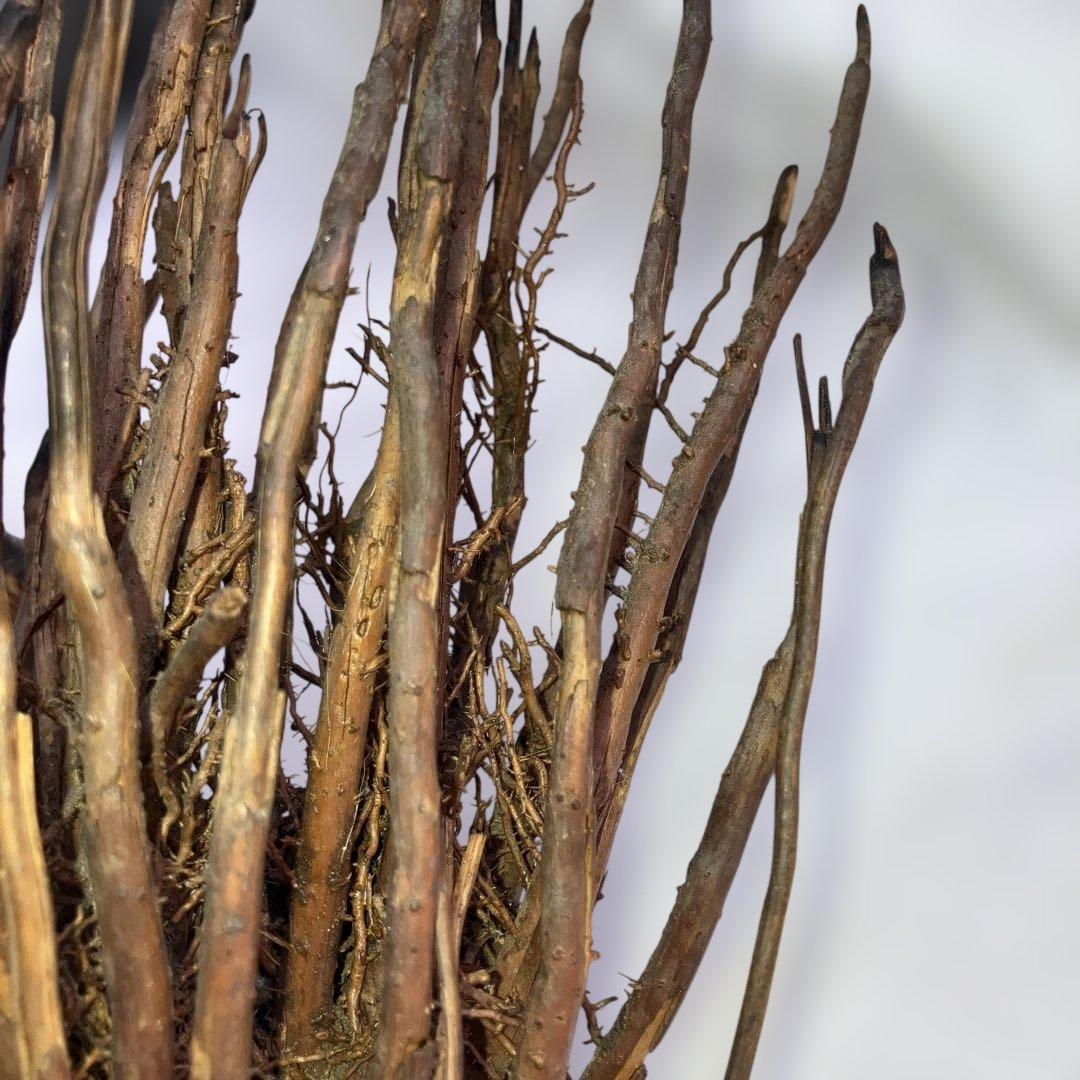 (467)アンティークな木製の鶴と亀さんの枝のアート