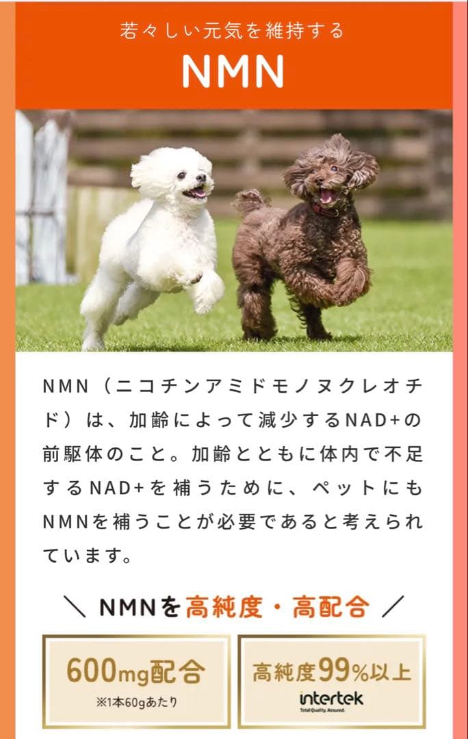 ペット用リフィーラス NMN サプリメント 2個セット