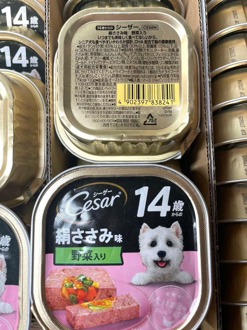 シーザー　ウェットフード　14歳以上　シニア　シニア犬の食事